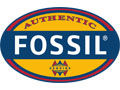 Fossil