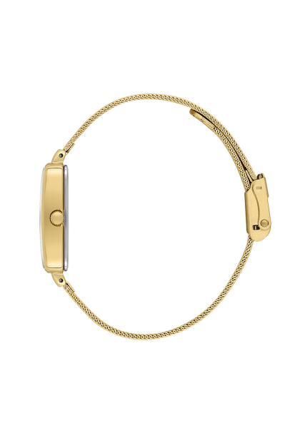 Daniel Klein DK.1.13233-7 Kadın Kol Saati