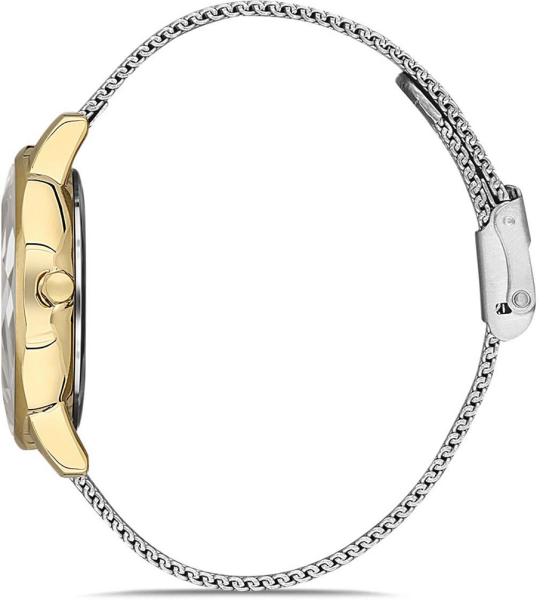 Daniel Klein DK.1.12901-7 Kadın Kol Saati