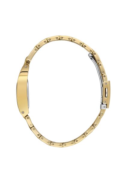 Daniel Klein DK102-DK.1.13957-4 Kadın Kol Saati