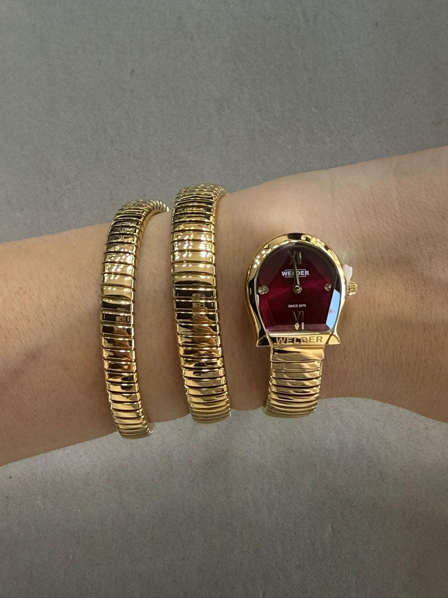 Welder WSN2001 Kadın Kol Saati