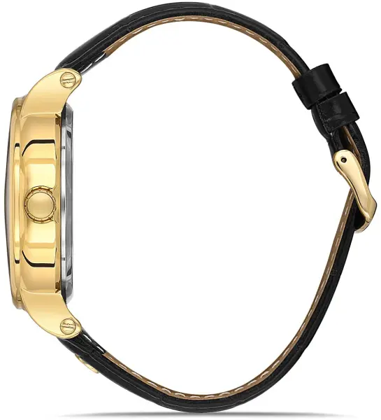 David Güner DG-8232GB-N2 Otomatik Deri Erkek Kol Saati