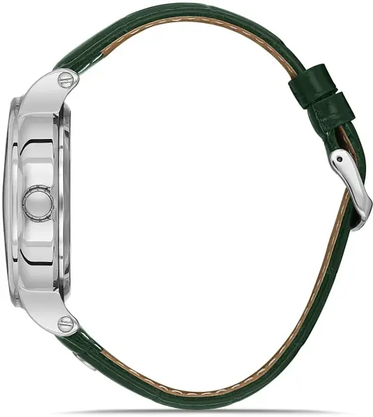 David Güner DG-8232GB-ZM10 Otomatik Deri Erkek Kol Saati