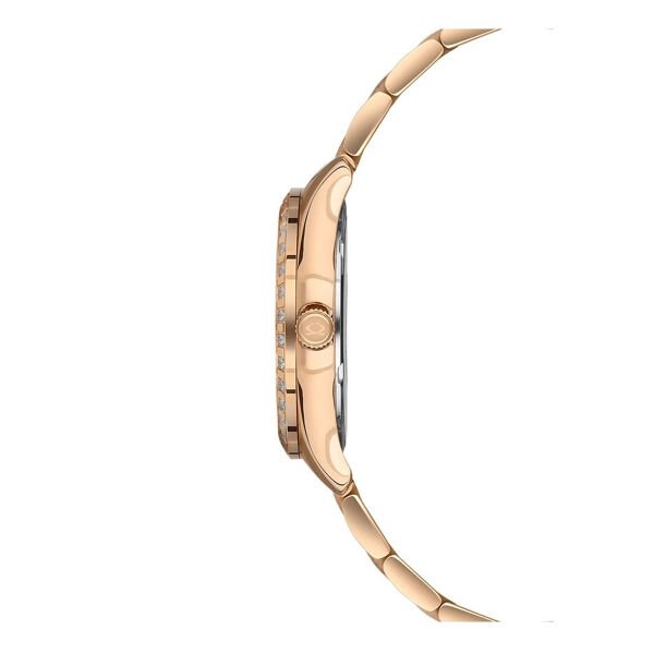 Nacar  NC33-398305-RWMS Kadın Kol Saati