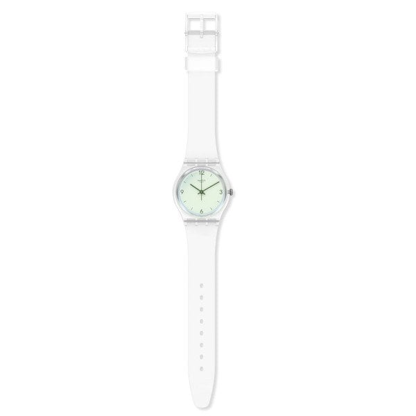 Swatch Ge294 SWAN LAKE Kol Saati